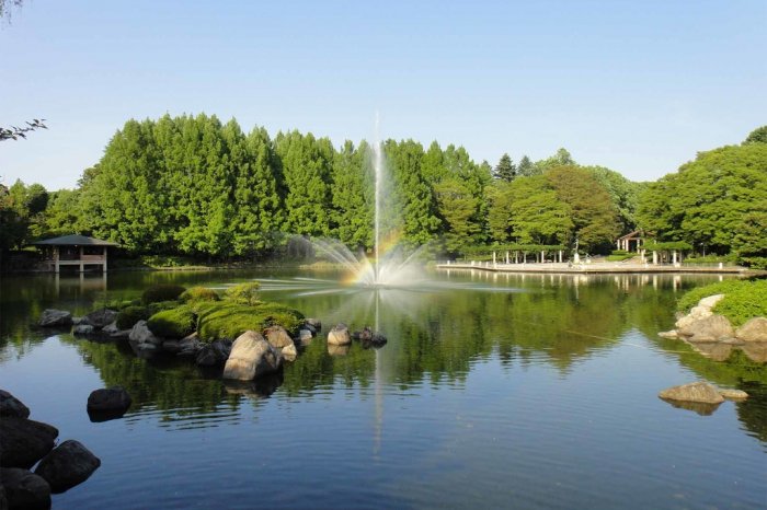 🏞️ 도치기현 중앙 공원 (토치기켄 추오 코엔) 이미지 1